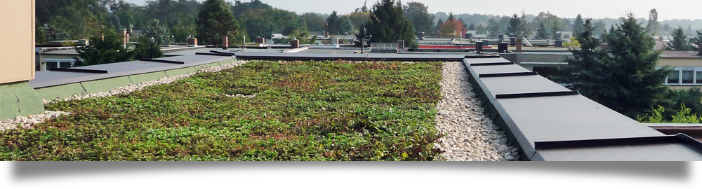  intensiv und extensiv, Dachgärten, Dachterrassen und Substrate